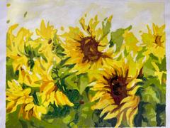 Paint Plot Australia Sunny Sunflowers kit Review