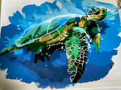 Paint Plot Australia Green Sea Turtle kit Review