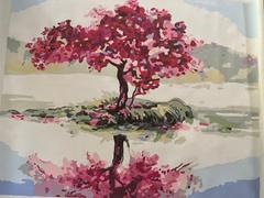 Paint Plot Australia Cherry Tree Island kit Review