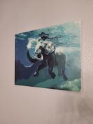 Paint Plot Australia Swimming Elephant kit Review