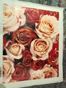 Paint Plot Australia Peachy Roses kit Review