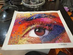 Paint Plot Australia Colorful Eye kit Review