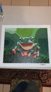 Paint Plot Australia Happy Frog kit Review
