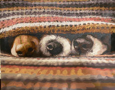 Paint Plot Australia Puppy Noses kit Review