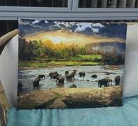 Paint Plot Australia Elephant Herd kit Review