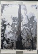 Paint Plot Australia Misty Forest kit Review