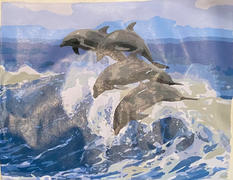 Paint Plot Australia Dolphins kit Review