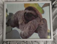 Paint Plot Australia Sloth diamonds Review
