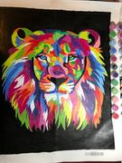 Paint Plot Australia Colorful Lion kit Review