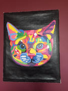 Paint Plot Australia Colorful Cat kit Review