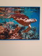 Paint Plot Australia Calm Shore diamonds Review