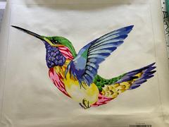 Paint Plot Australia Rainbow Bird kit Review