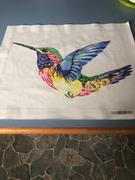 Paint Plot Australia Rainbow Bird kit Review