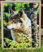 Paint Plot Australia Wolf Portrait kit Review