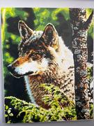Paint Plot Australia Wolf Portrait kit Review