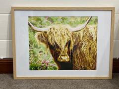 Paint Plot Australia Highland Cattle kit Review