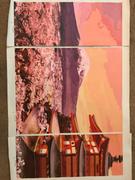 Paint Plot Australia Fuji Multi-Panel kit Review