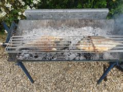 Cyprus BBQ Grill - Stainless Steel Rotating Fish/Meat  Grill for the Large Cyprus BBQ Review