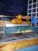 Cyprus BBQ Traditional Greek Cypriot Foukou Rotisserie Charcoal Large BBQ | Blue Review