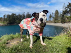 Darren and Phillip The Pink Patchwork Paisley Dog Raincoat Review