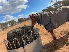 Aussie Grazers Deluxe Knotless 6x4 Round Bale Horse Slow Feeder Hay Net Review
