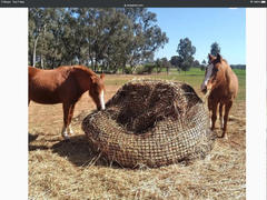 Aussie Grazers Deluxe Knotless 5x4 Round Bale Hay Net Review