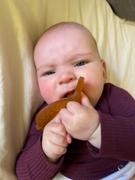 Hello Charlie Natural Rubber Soothers - Fish Teether Review