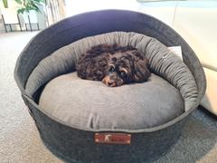 Life of Riley Pet Products Wool Filled Bed Pod Review