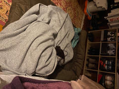 The Life of Riley 100% NZ Wool Blankets Review