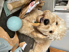 The Life of Riley Coffee Wood Chew Review
