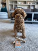 The Life of Riley Coffee Wood Chew Review