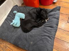 The Life of Riley Riley Soft Toy Review