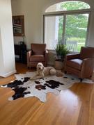 eCowhides Tricolor Cowhide Rug Review