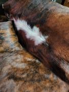 eCowhides Brindle White Belly Brazilian Cowhide Rug: XXL Review