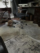eCowhides Grey Palomino Brazilian Cowhide Rug: LARGE Review