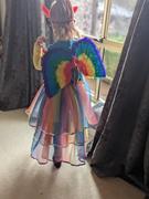 Earth Fairy Rainbow Feather Wings Review