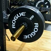 Fringe Sport 20kg Midas' Revenge Bar Review