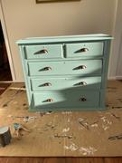 Fuller's Flips ‘Seagrass’ Chalk & Clay Furniture Paint Review