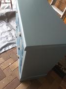 Fuller's Flips Deep Duck Mineral Paint Review