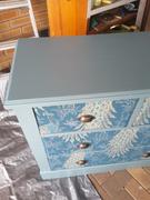Fuller's Flips Deep Duck Mineral Paint Review