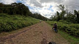 Prevelo Bikes Alpha Two Review