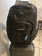 Traveler's Choice Silverwood Backpack Review
