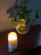 Milkglass candle  Fig Tree Review