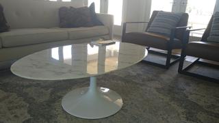 Lexmod Lippa 48 Oval-Shaped Artificial Marble Coffee Table Review