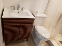 Lexmod Render Bathroom Vanity Review