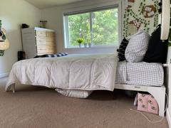 Lexmod Ollie Bed Frame Review