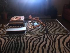 Lexmod Prism Rectangle Coffee Table Review