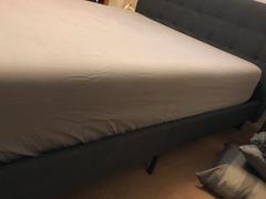 Lexmod Linnea Fabric Bed Review
