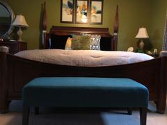 Lexmod Connect Upholstered Fabric Bench Review