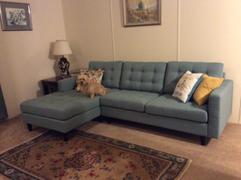 Lexmod Empress Left-Facing Upholstered Fabric Sectional Sofa Review